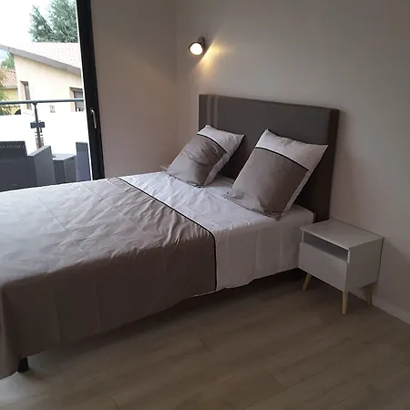 Villa'vi Lyon Est D'hotes Отель типа 