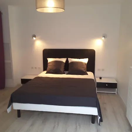 Villa'vi Lyon Est D'hotes Отель типа 