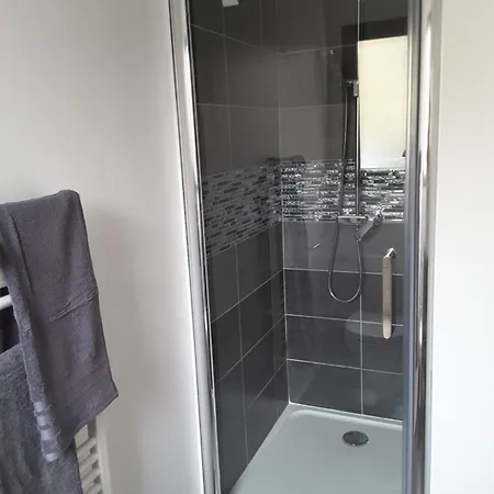 Villa'vi Lyon Est D'hotes Отель типа 