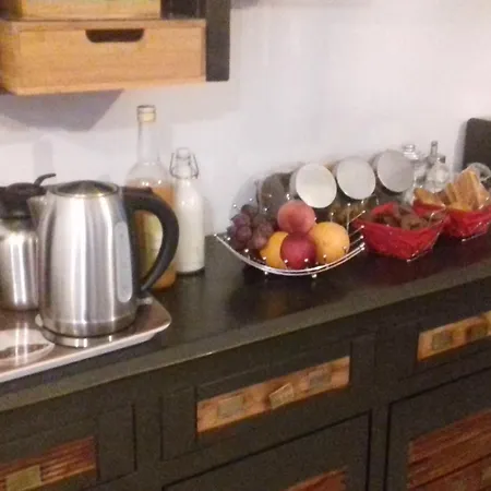 Villa'vi Lyon Est D'hotes 3* סן פריסט