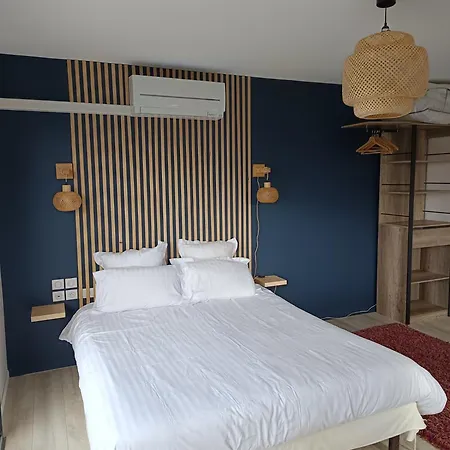 Villa'vi Lyon Est D'hotes Отель типа 
