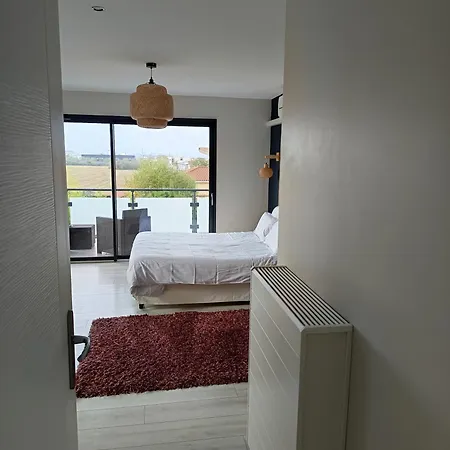 Villa'vi Lyon Est D'hotes Отель типа 